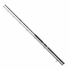 Cormoran Big Cat Pro Long Range 300cm 200-600g