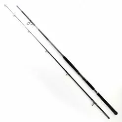 Shimano BeastMaster Catfish Static 300cm -300g