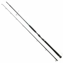 Daiwa Exceler Catfish 270cm 200-600g