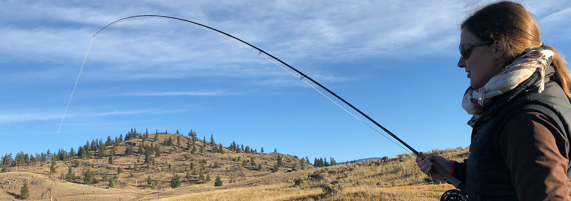 Karpfenruten Schritte -Karpfenruten Schritte FlyRod DBanner